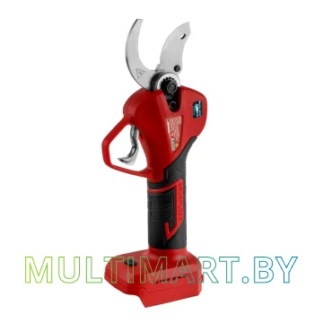 Секатор Wortex CBS 2535-1 1329488 ALL1 (без АКБ)